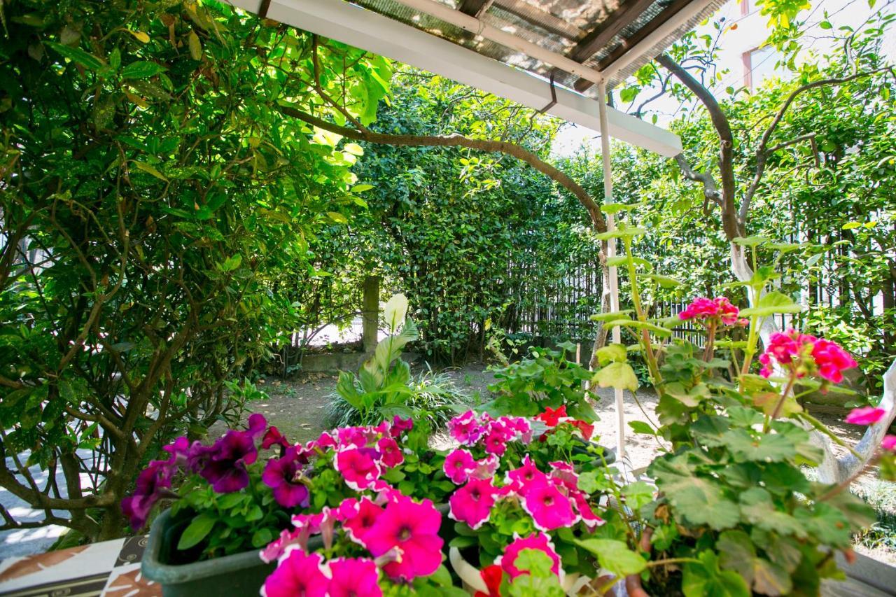 Guest House Lavr กากรา ภายนอก รูปภาพ